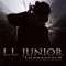 L.L. Junior - Impresszió CD