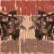 The Trousers - Soul Machine CD