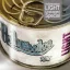 Hollywoodoo - Light [Unplugged Special] CD