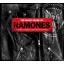 Various Artists - The Many Faces Of Ramones 3CD Digi