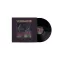 Wolfmother - Rock'n'roll Baby LP