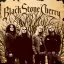Black Stone Cherry - Black Stone Cherry 180g Red LP