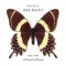 Zelmani Sophie - Decade of Dreams 1995-2005 2LP