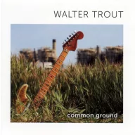 Trout Walter - Common Ground Translucent Green 2LP