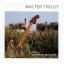 Trout Walter - Common Ground Translucent Green 2LP